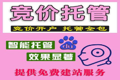 旅游行业SEM服务托管的优化实践案例